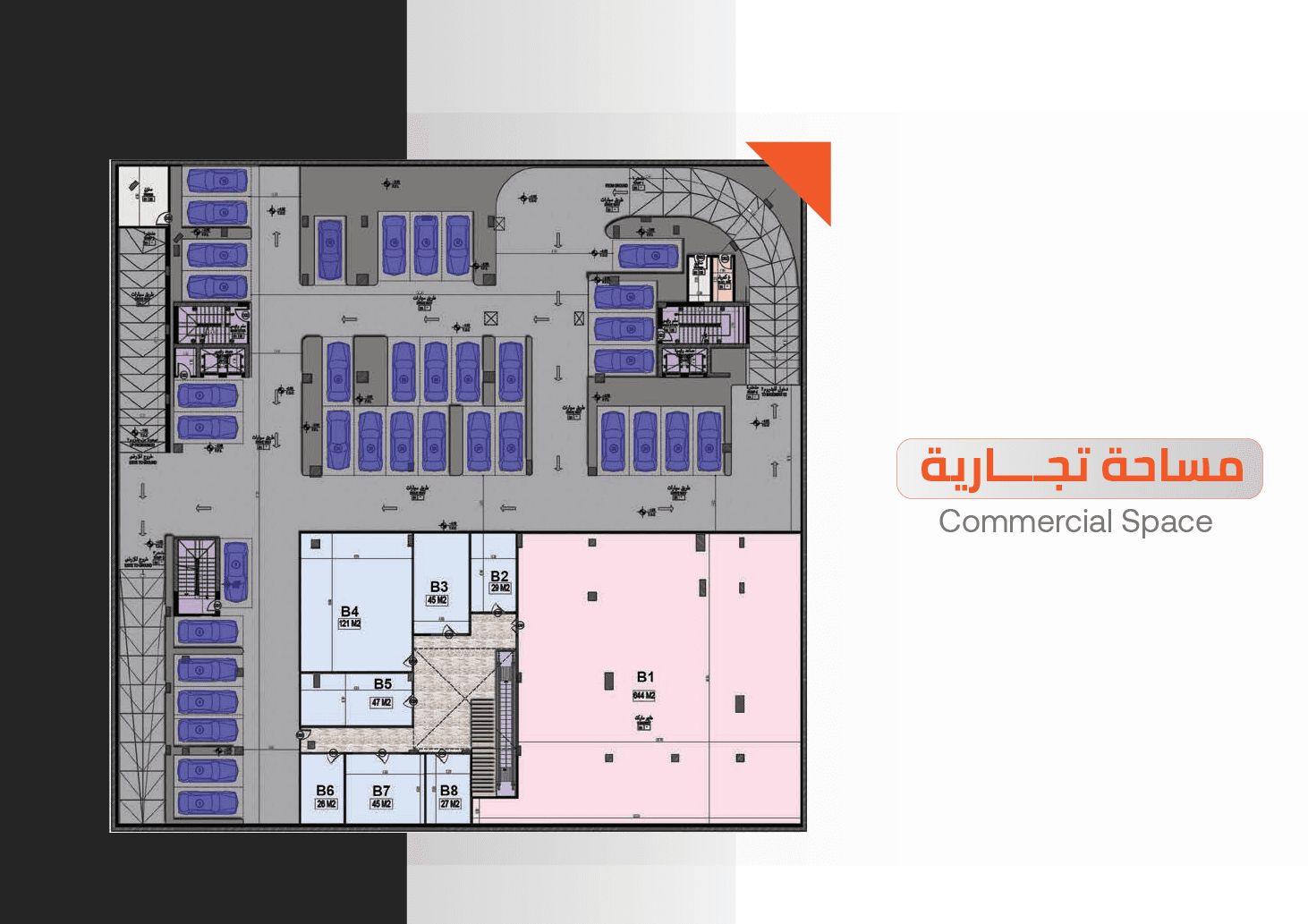 Project Plan 6